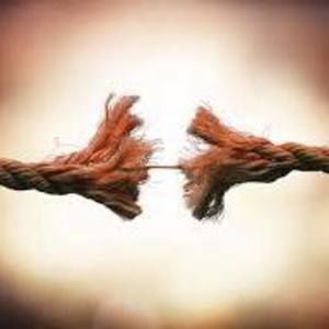 Meet your Posher, Chit